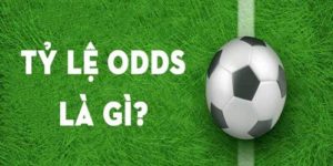 Odds Là Gì? Cách Soi Kèo Odds Chuẩn Xác Nhất 2023
