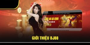 tong-quan-nha-cai-bj88